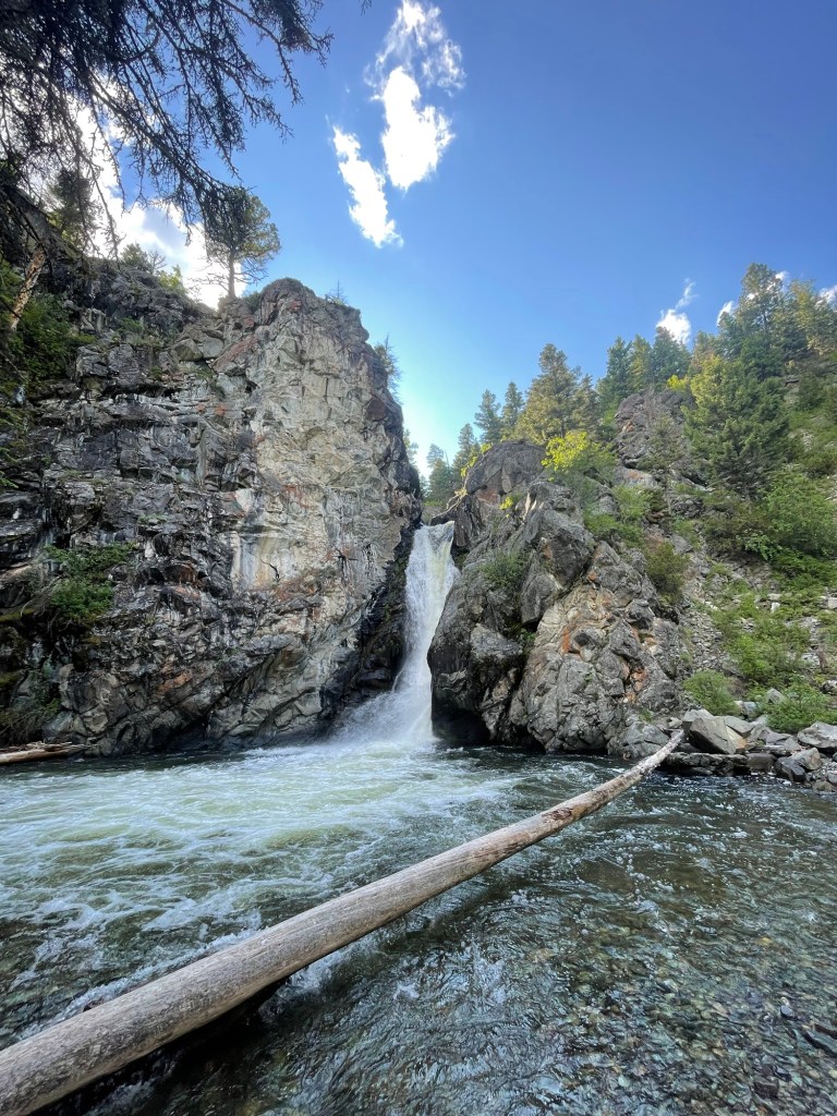 returning to the&nbsp;garden